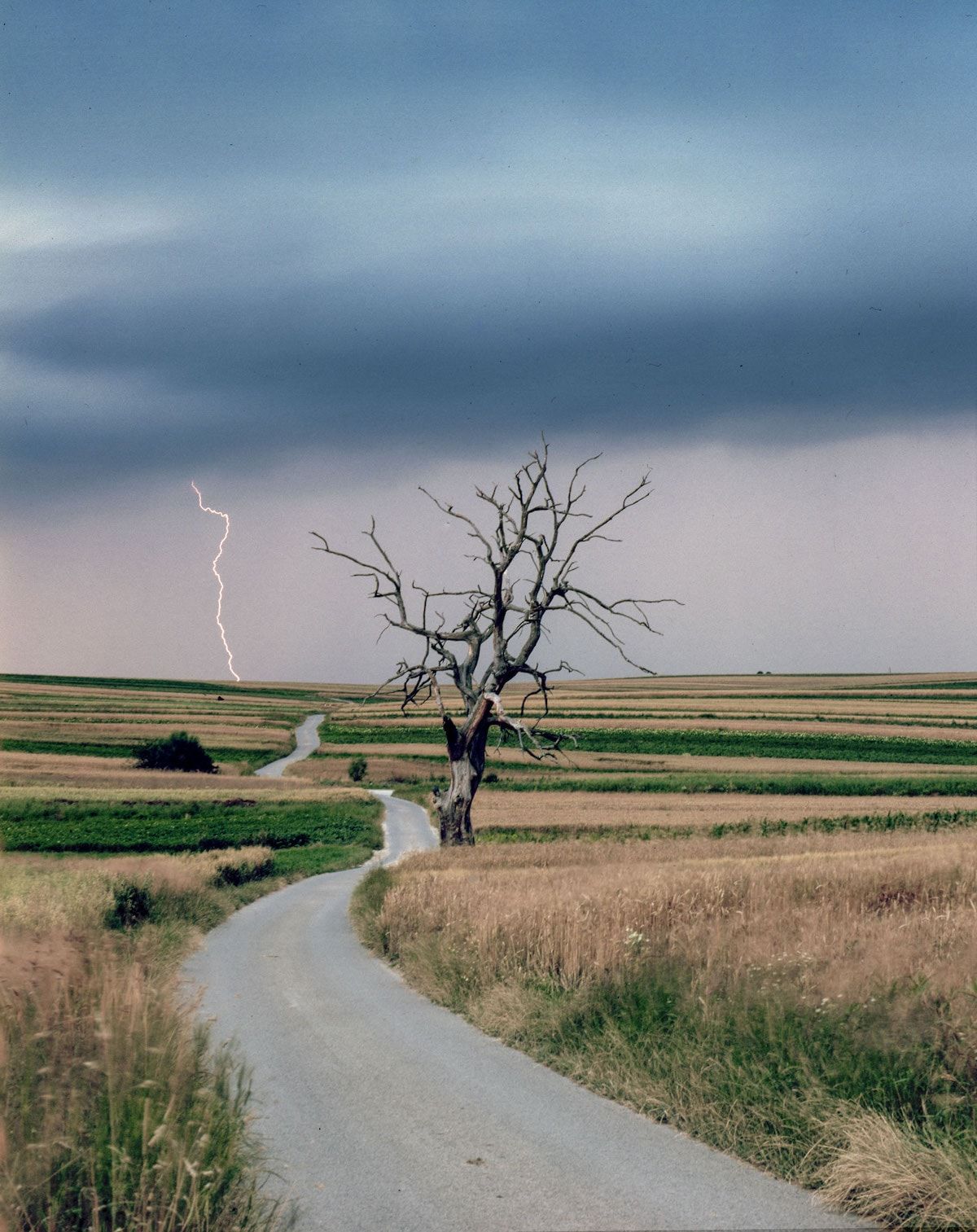 A journey into the magic of the darkroom with Bogusz Jan Szulc