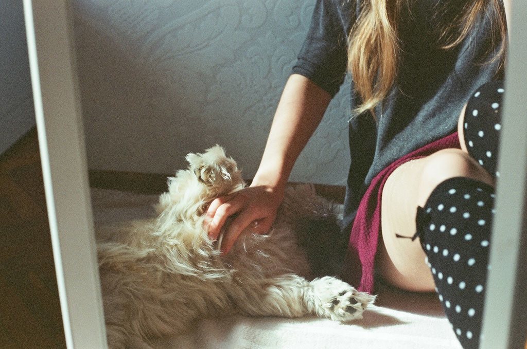 Picturesque analogs by Basia
