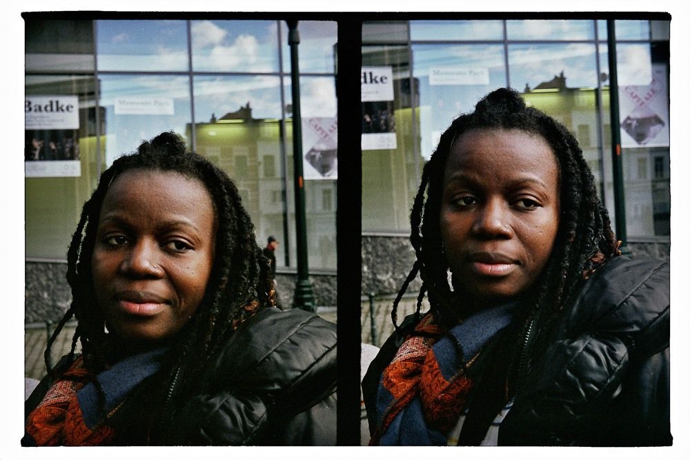 Lieven Symaeys: Analog diptych