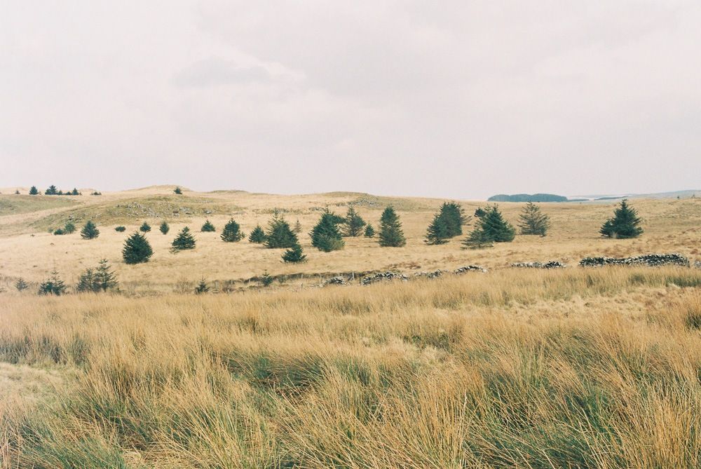Film. Calming and exciting at the same time, by Louis Rimmer