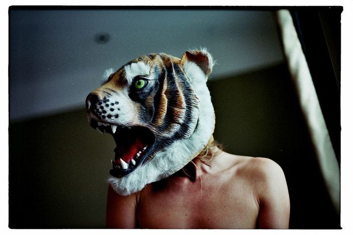 Lieven Symaeys: The Tiger Project